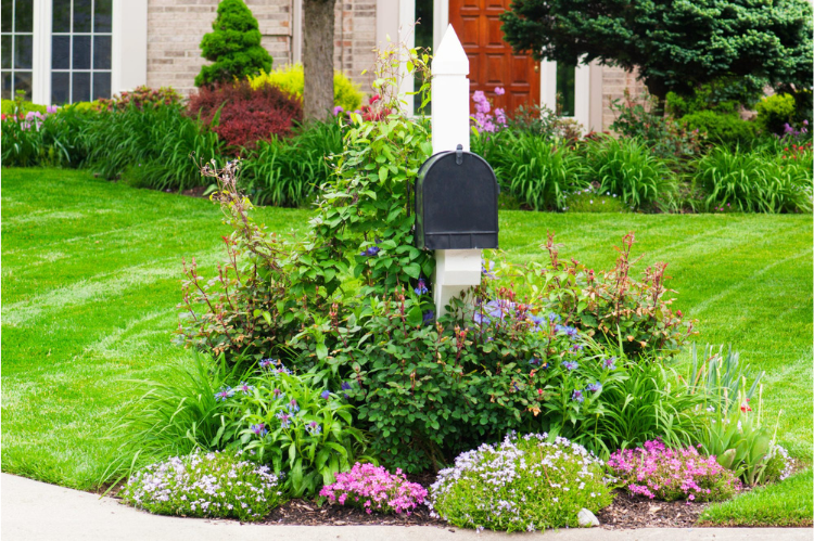 Garden Bed Landscaping Ideas Around Your Mailbox