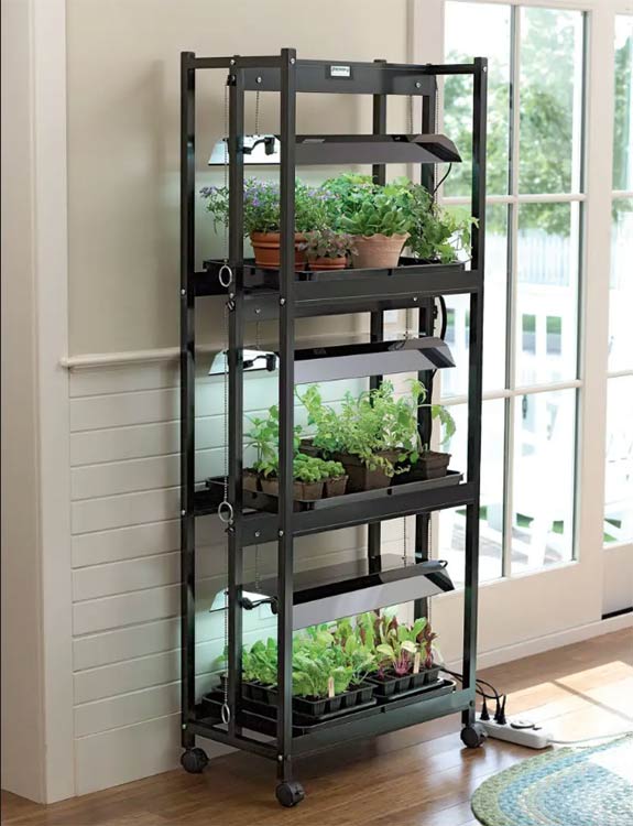 Rolling Plant Stand