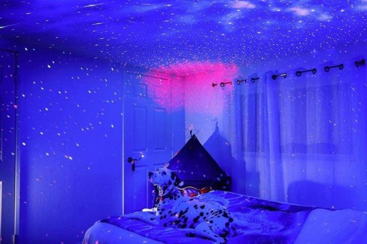Or Use Artificial Light-boys' dorm room ideas