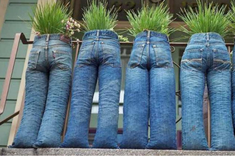 Denim Jeans Planters