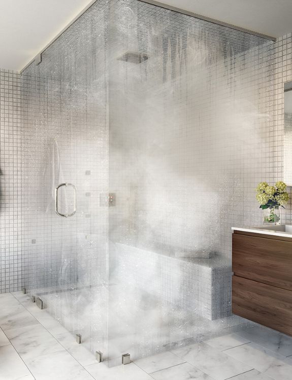 Walk-in Shower and Steam Room